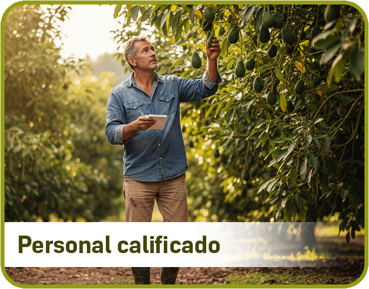 Personal calificado y experiencia